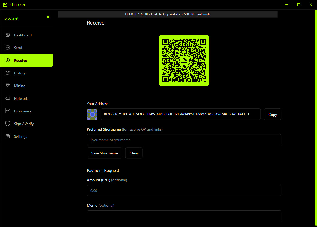 หน้า Receive แสดง Your Address, Copy และรหัส QR ทั้งหมดใช้ปลายทางสาธิตที่ไม่ใช่สำหรับชำระเงิน